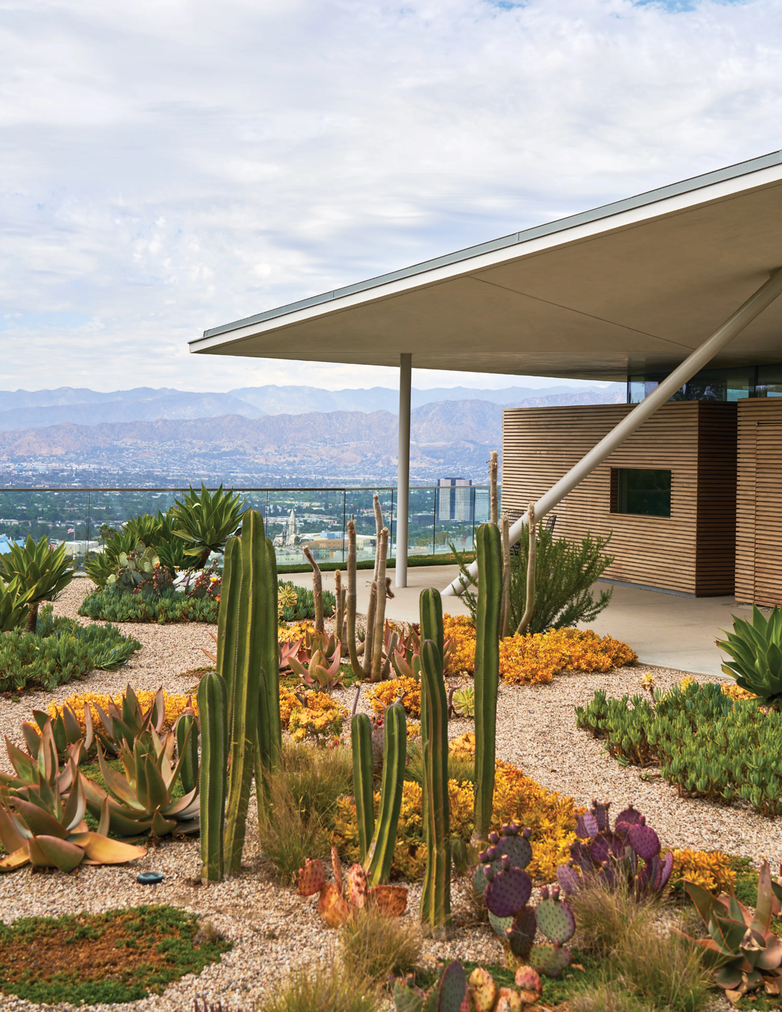 Hollywood hills gluck modernist home waterwise garden