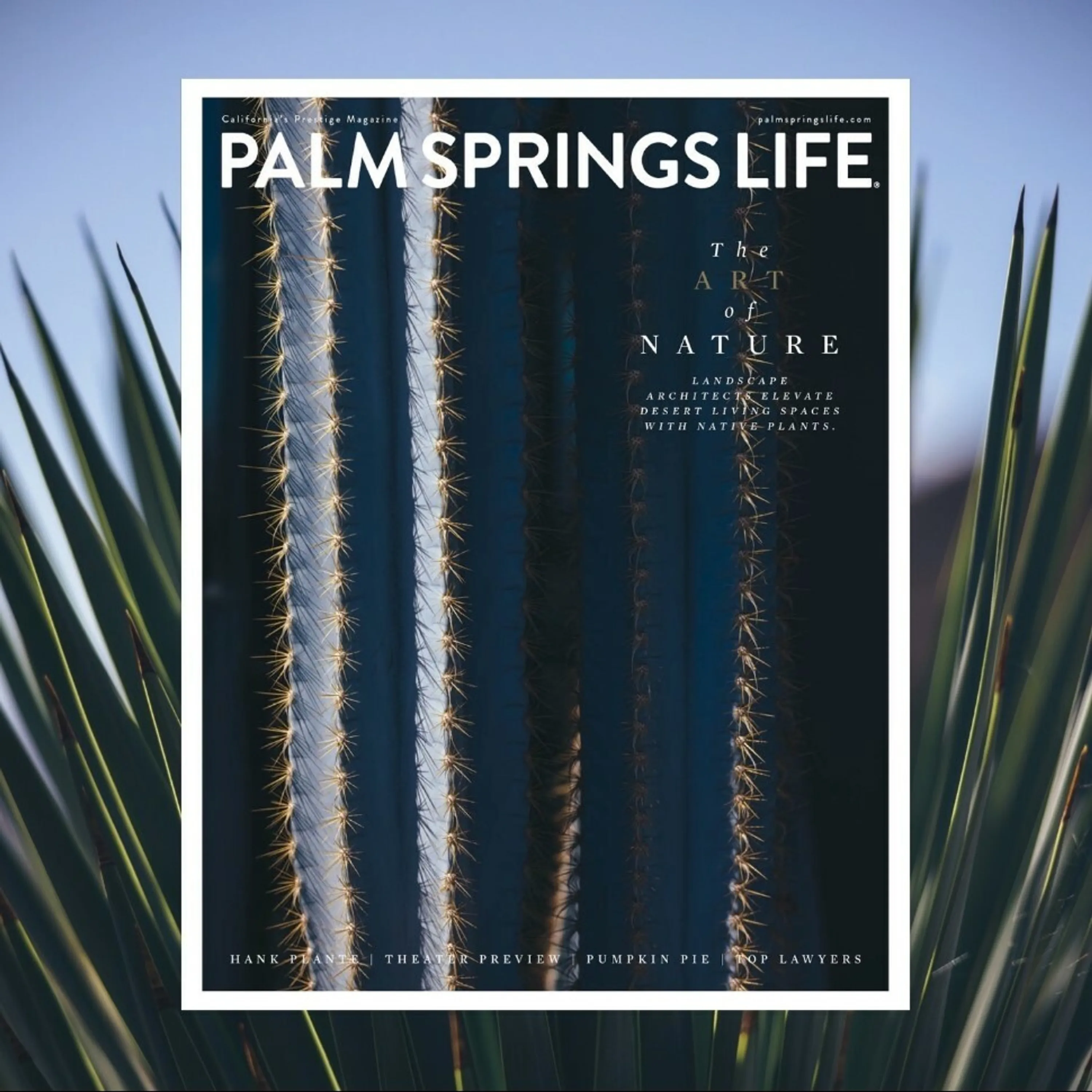 Palm springs life magazine nov22