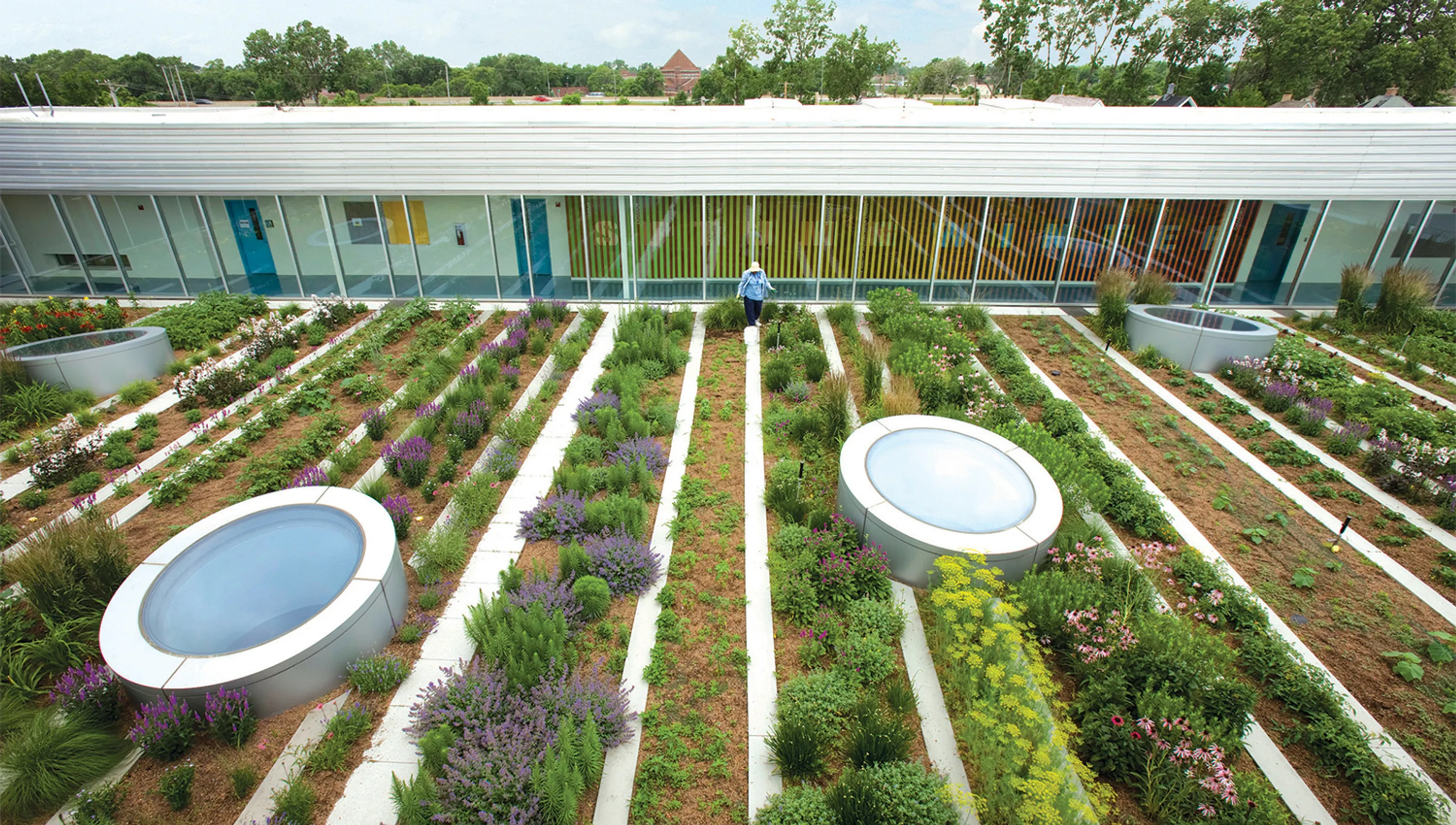 1 Gary Comer Youth Center Roof Garden Featured In The Asla Climate Change Exhibition hoerrschaudt News