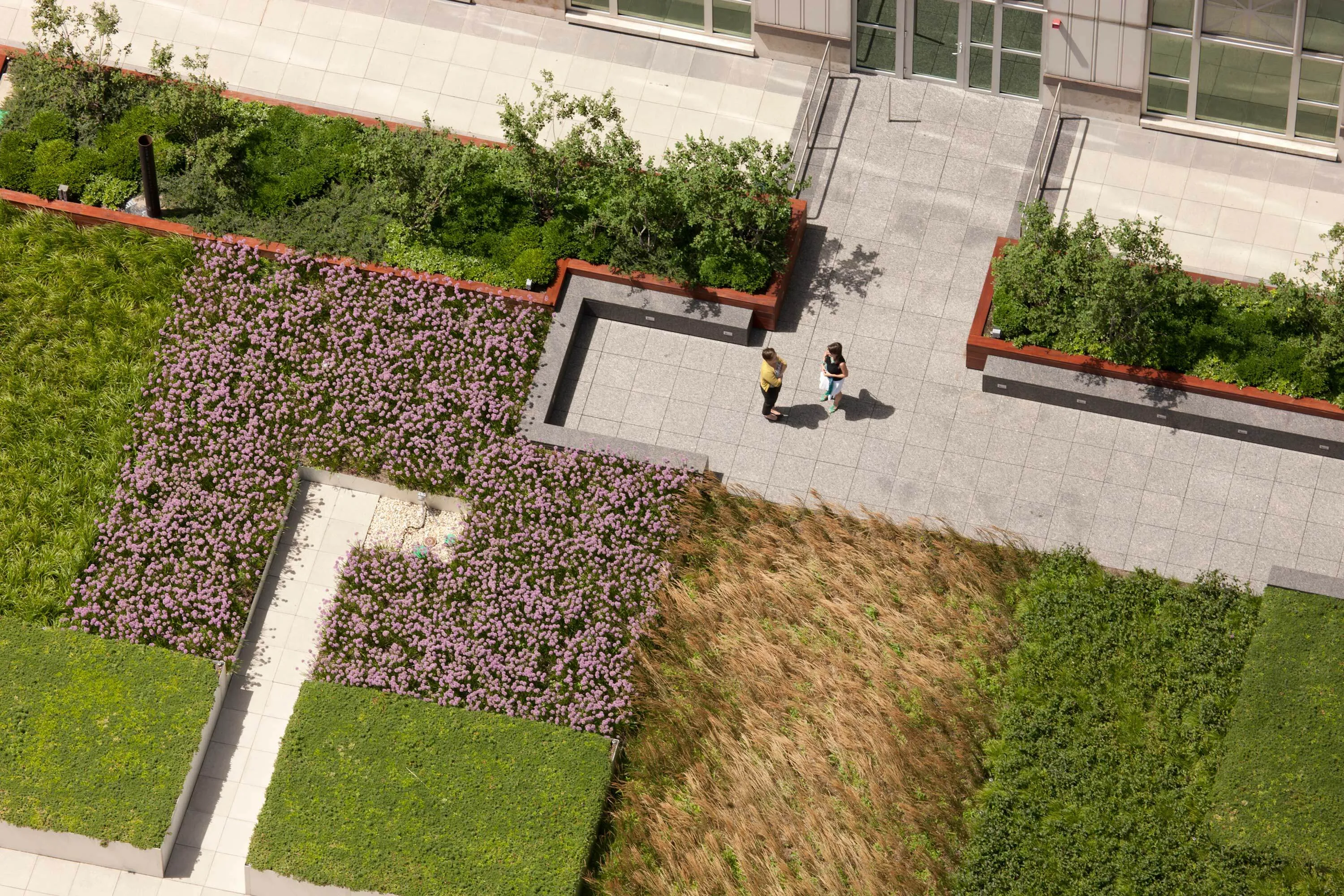 11 drone people flowers patchwork 900 nmichiganave rooftop hoerrschaudt