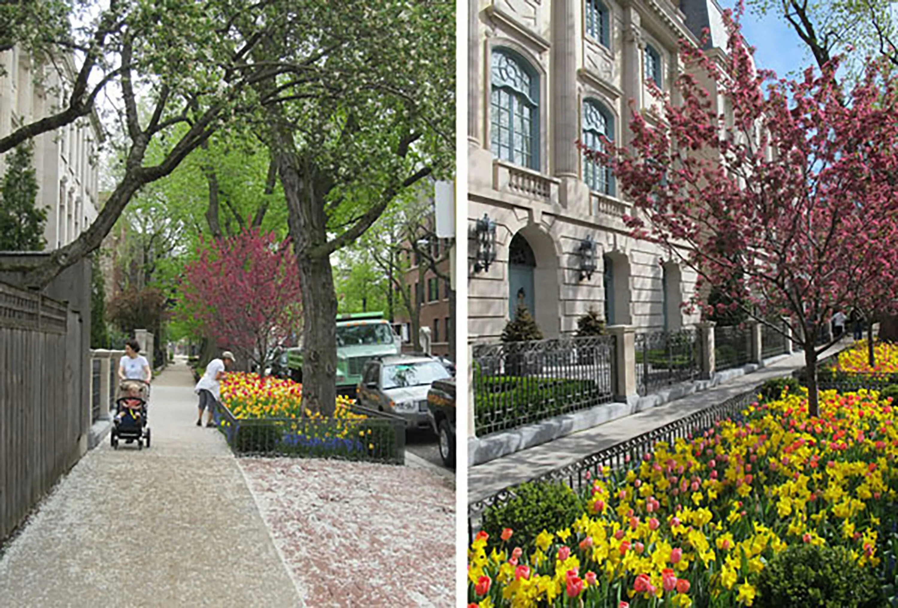 1 flowers path stroller urban parkway blog hoerrschaudt