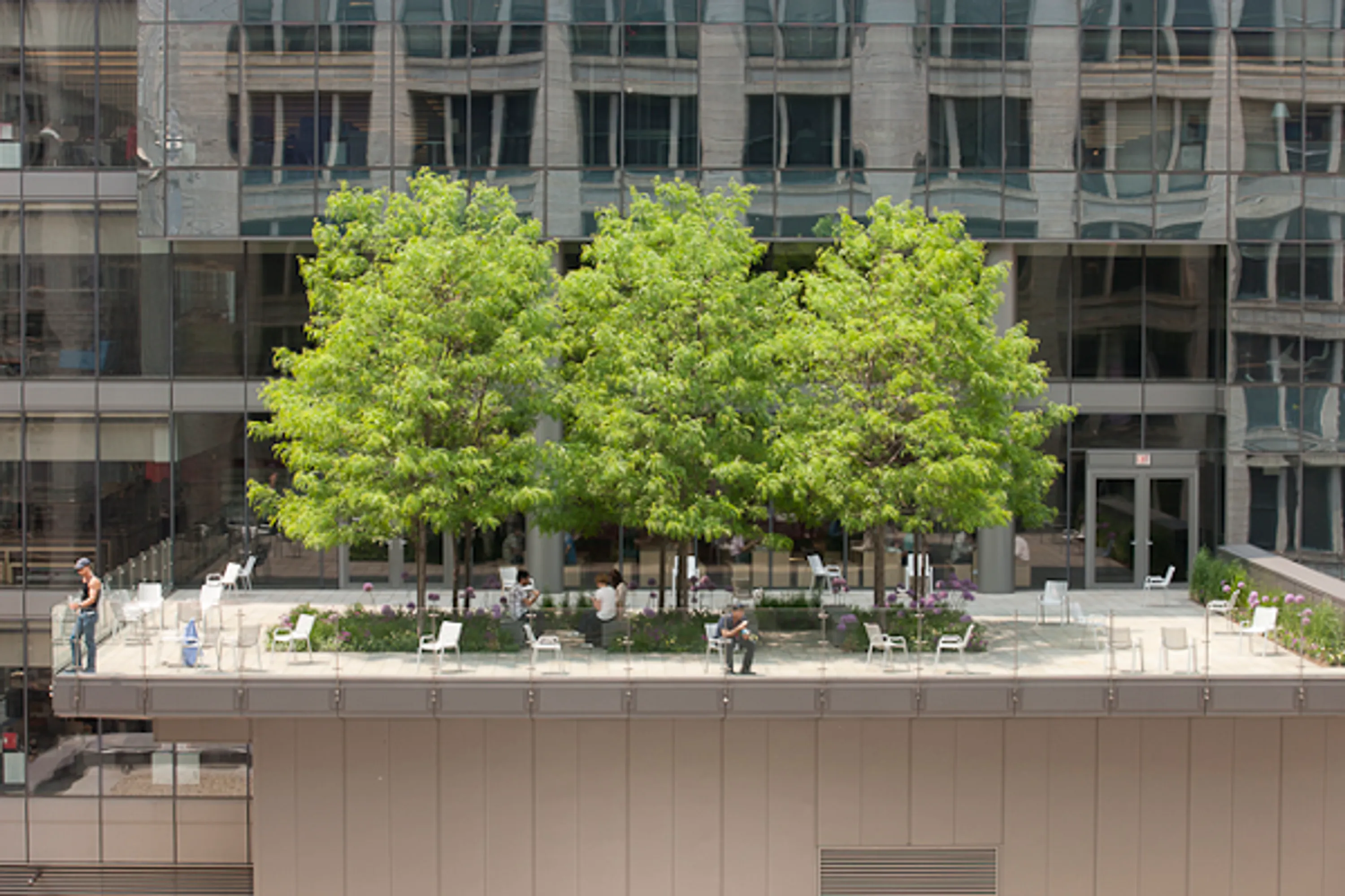 1 morningstar rooftop trees notes on landscape design blog hoerrschaudt