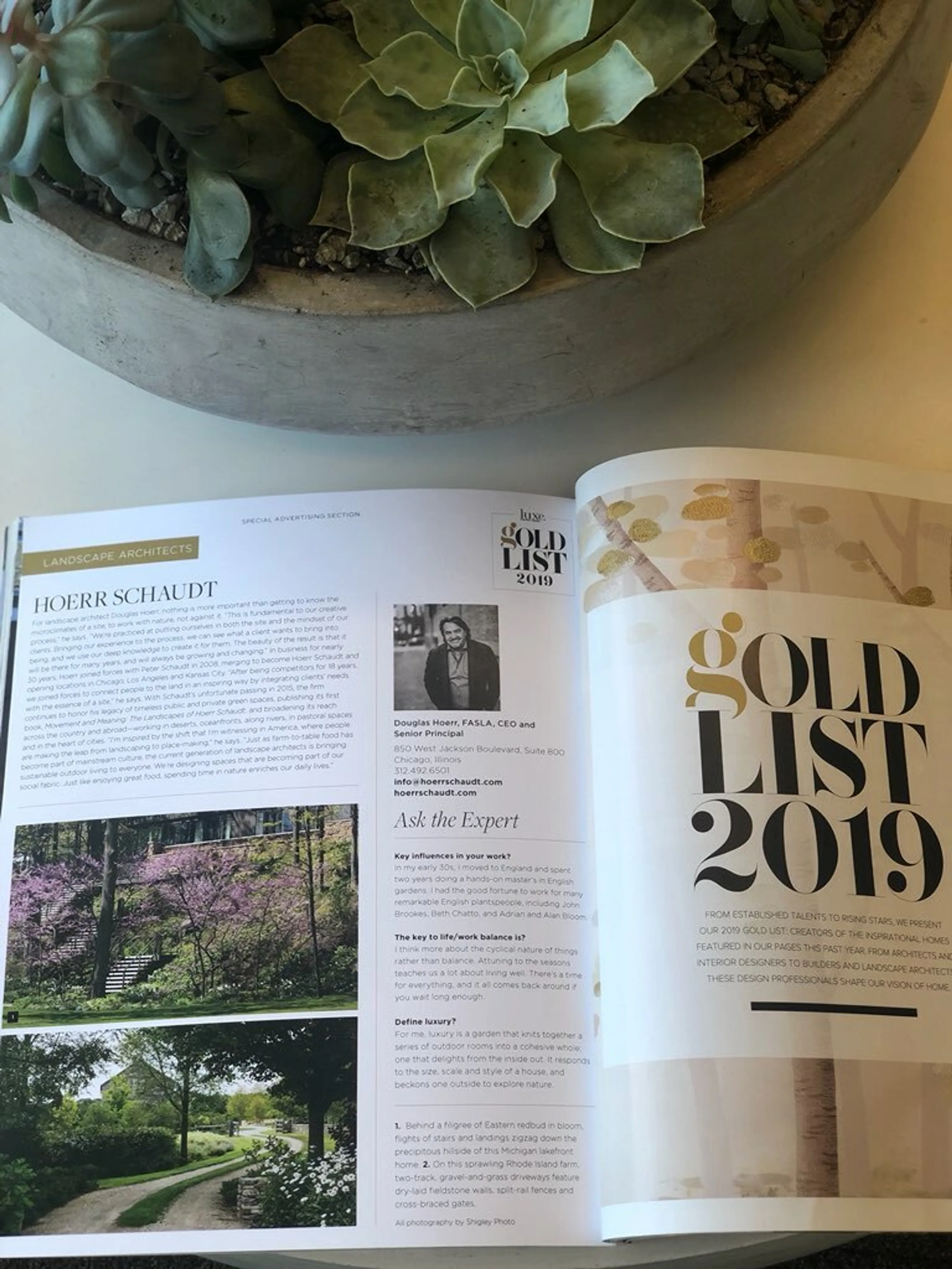 2 Magazine succulent included in luxe interiors design gold list hoerrschaudt news