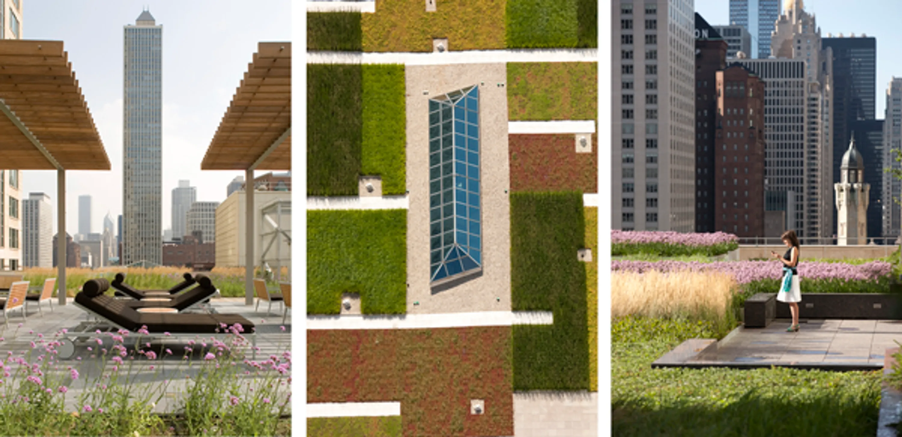 2 green roof ideas blog hoerrschaudt