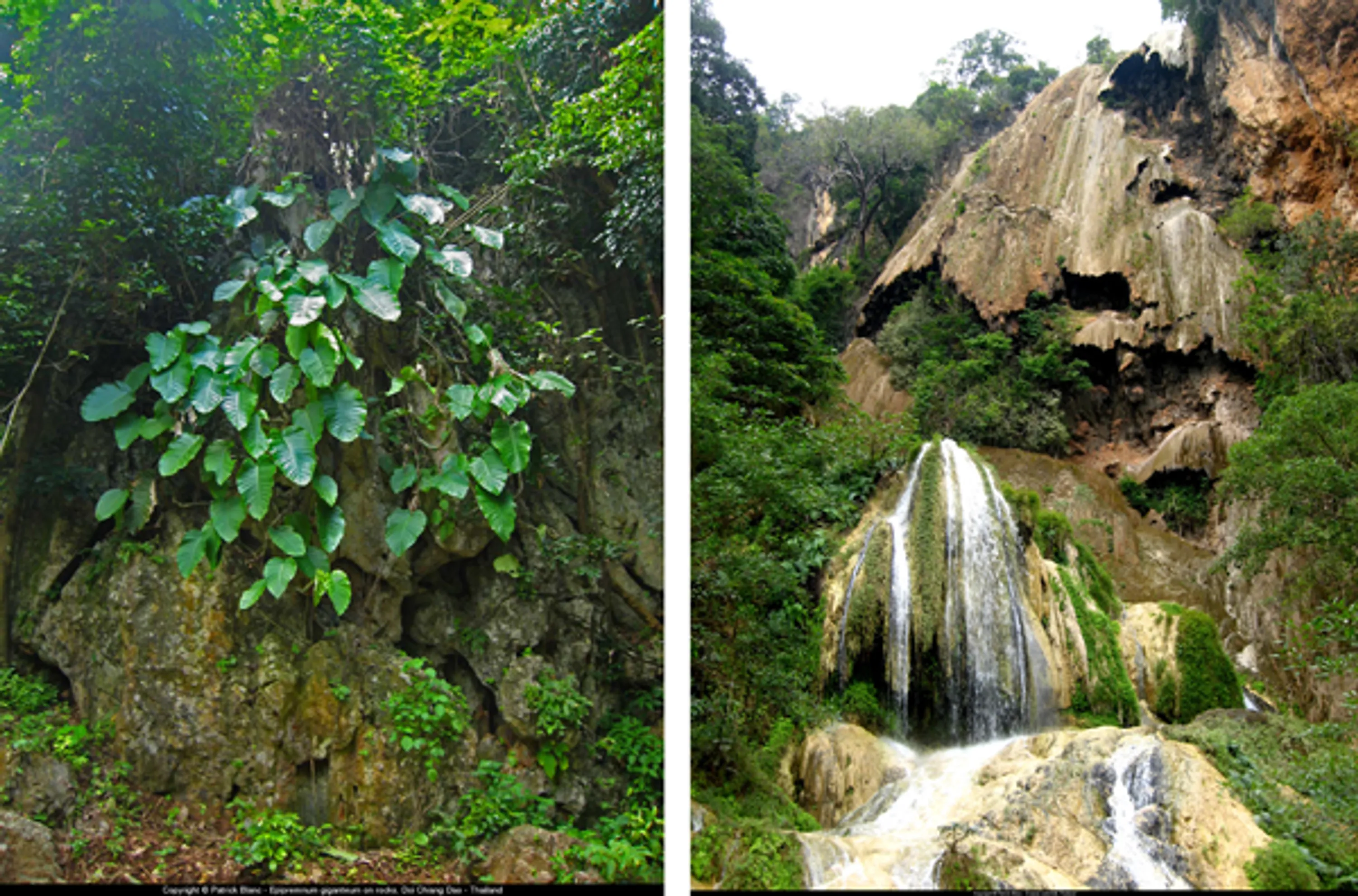 2 thailand erawan waterfall vertical greenings cities blog hoerrschaudt