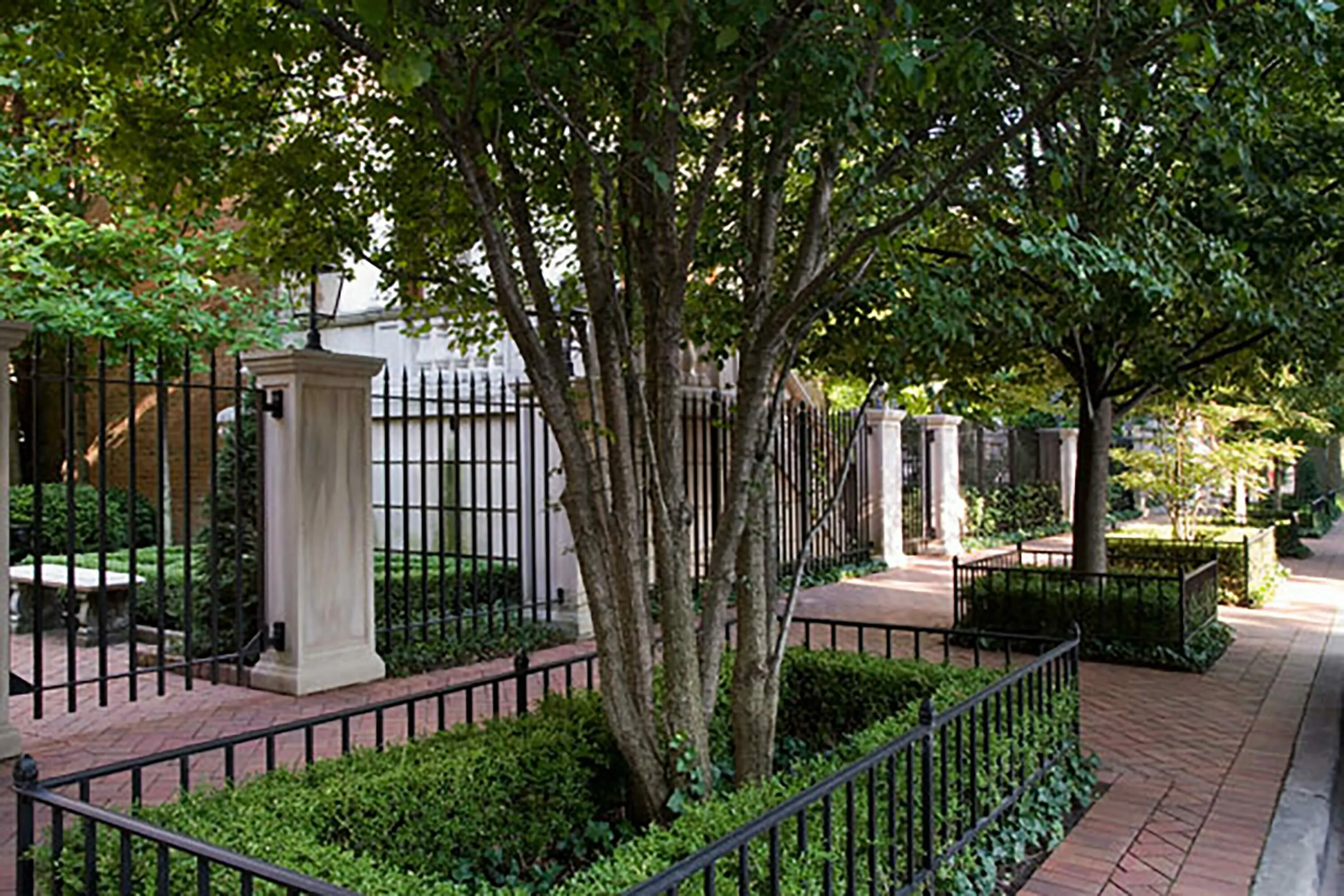 2 tree shrubs brick sidewalk urban parkway blog hoerrschaudt