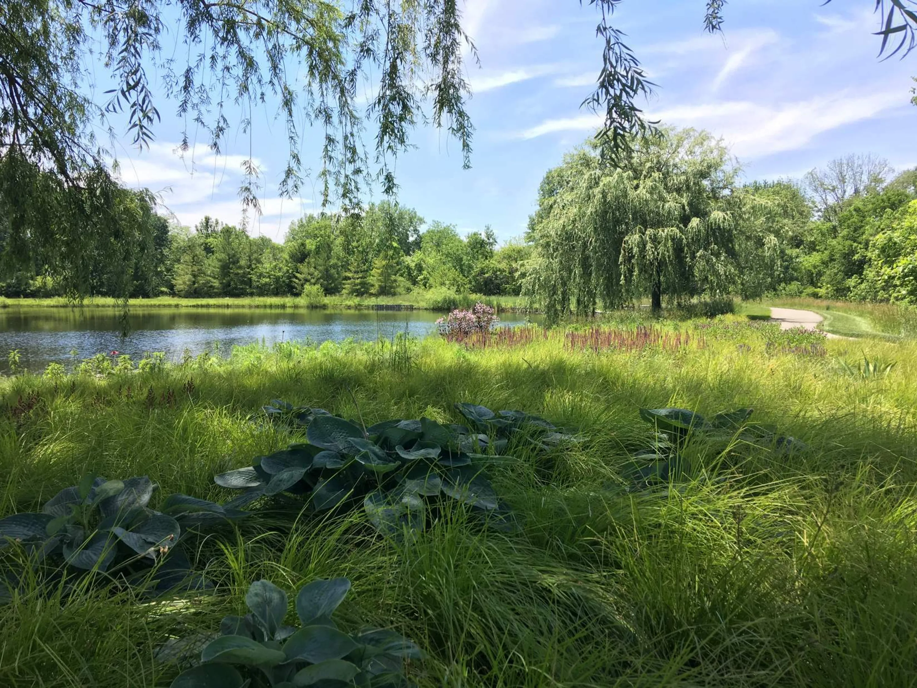 3 green grass pond presents at plan it native Hoerrschaudt News