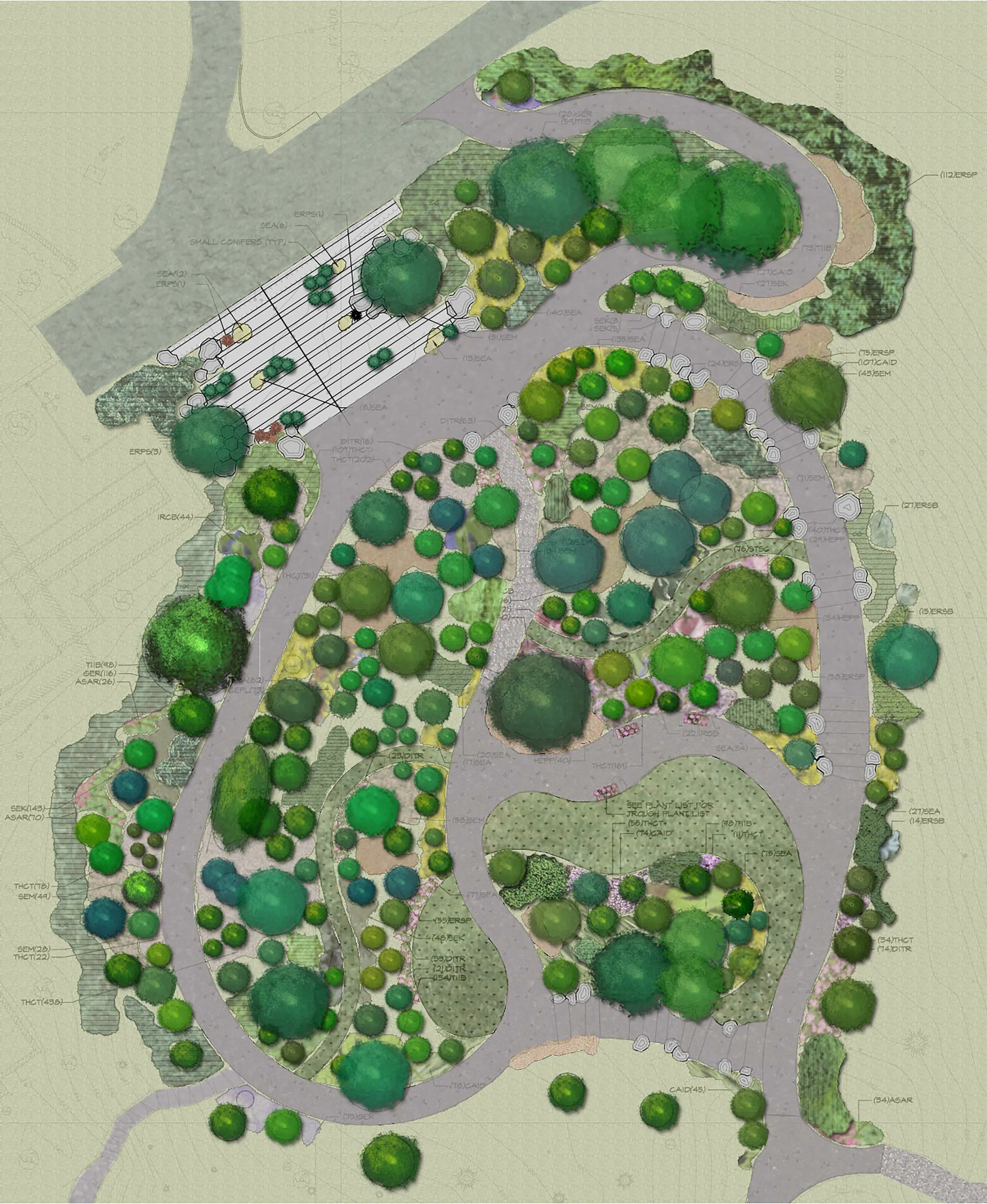 3 illustrated plan cbg dwarf conifer garden hoerrschaudt