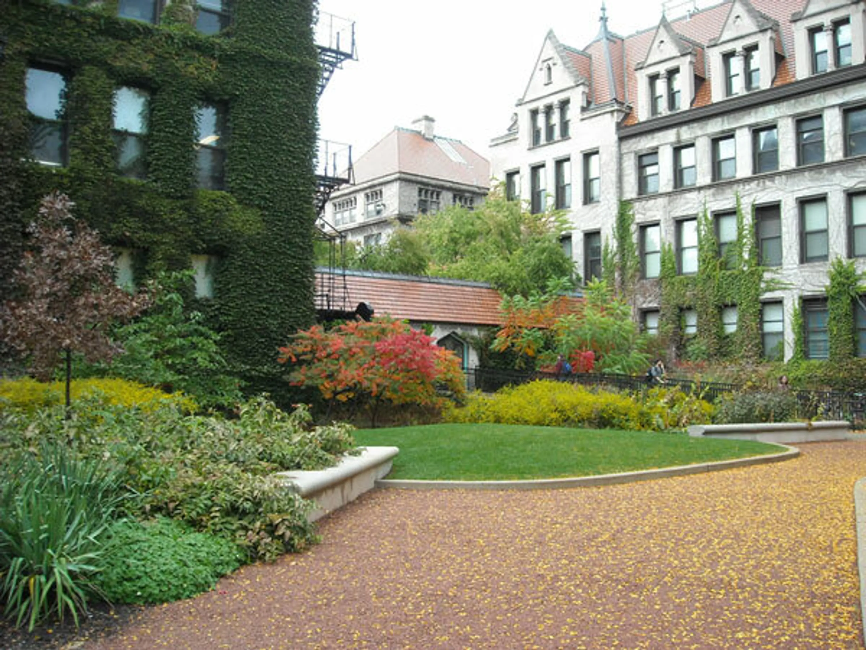 5 hull court garden after gardens walkways university blog hoerrschaudt