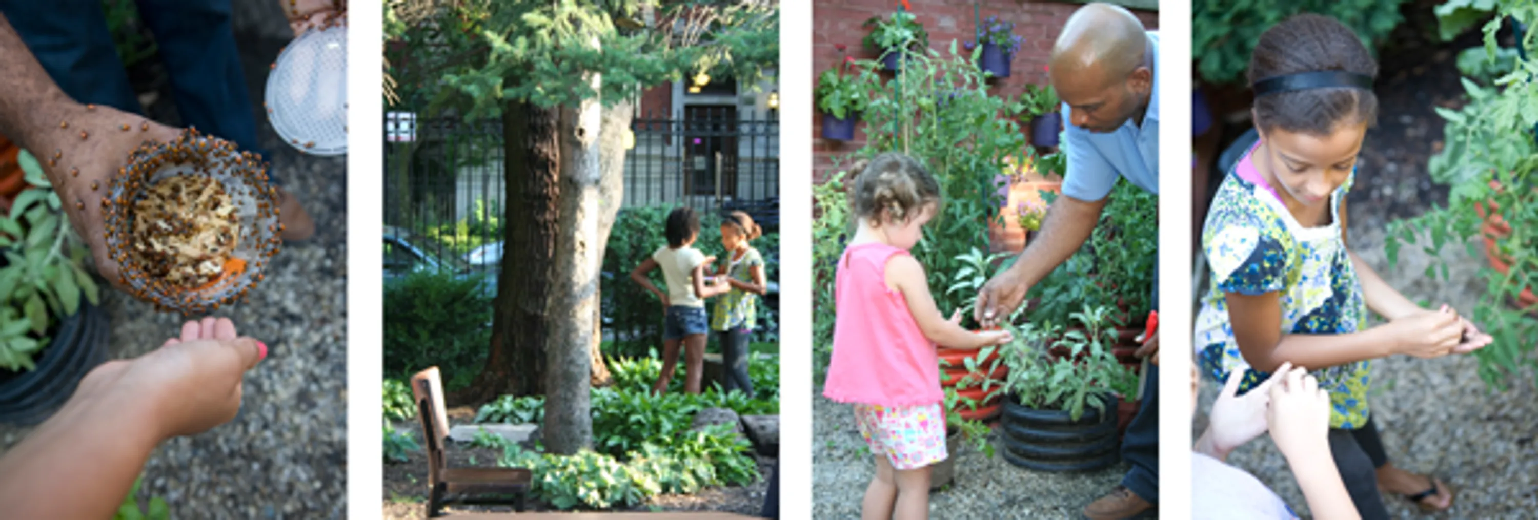 5 spal kids gardening earth designing urban gardens blog hoerrschaudt
