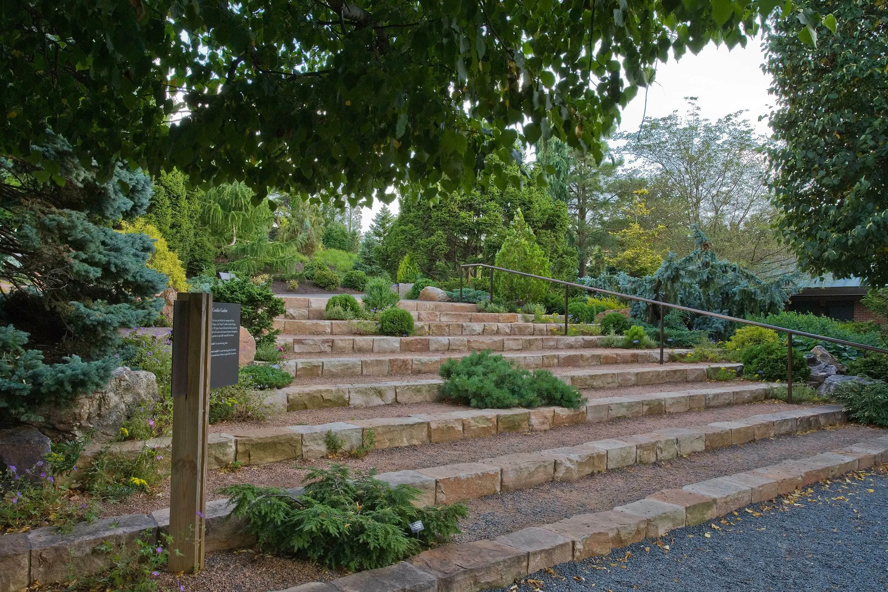2 steps greenery chicago botanic garden dwarf conifer garden hoerrschaudt